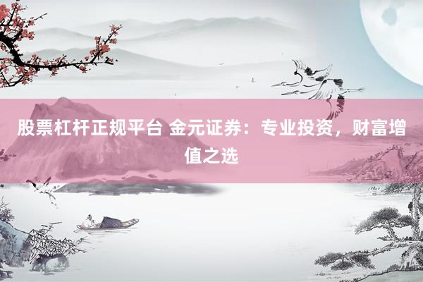 股票杠杆正规平台 金元证券：专业投资，财富增值之选