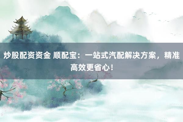 炒股配资资金 顺配宝：一站式汽配解决方案，精准高效更省心！
