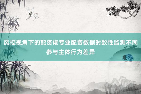 风控视角下的配资佬专业配资数据时效性监测不同参与主体行为差异