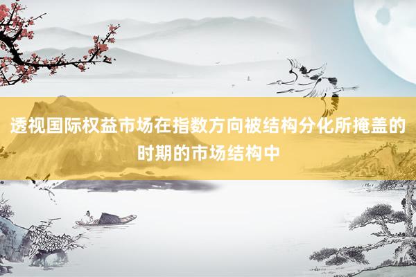 透视国际权益市场在指数方向被结构分化所掩盖的时期的市场结构中
